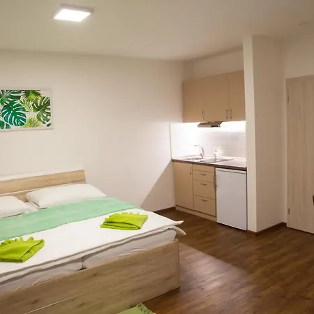 Apartmany Aaalipno Lipno nad Vltavou Exterior photo